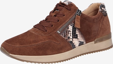 GABOR Lace-Up Shoes in Brown: front