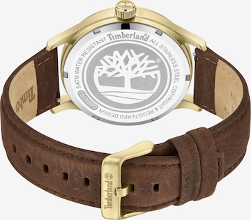 TIMBERLAND Analog Watch 'TRUMBULL' in Brown
