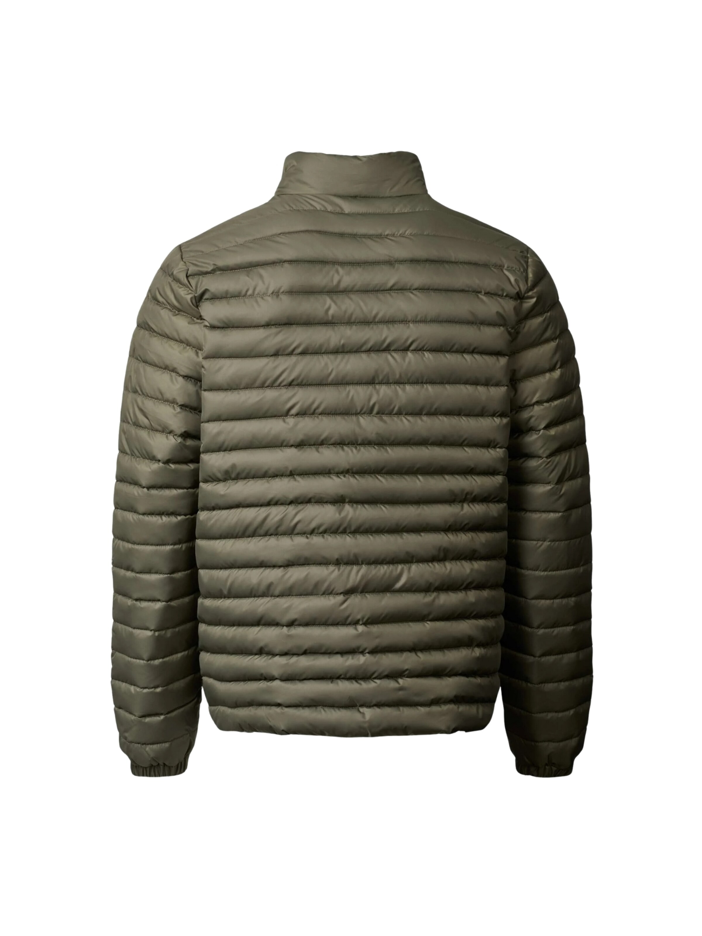 MCS Tussenjas ' Santos ' in Groen