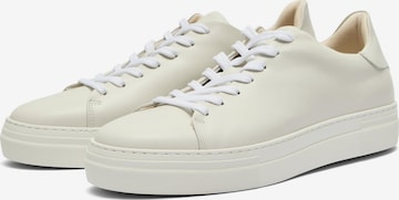 SELECTED HOMME Sneakers laag 'David' in Wit