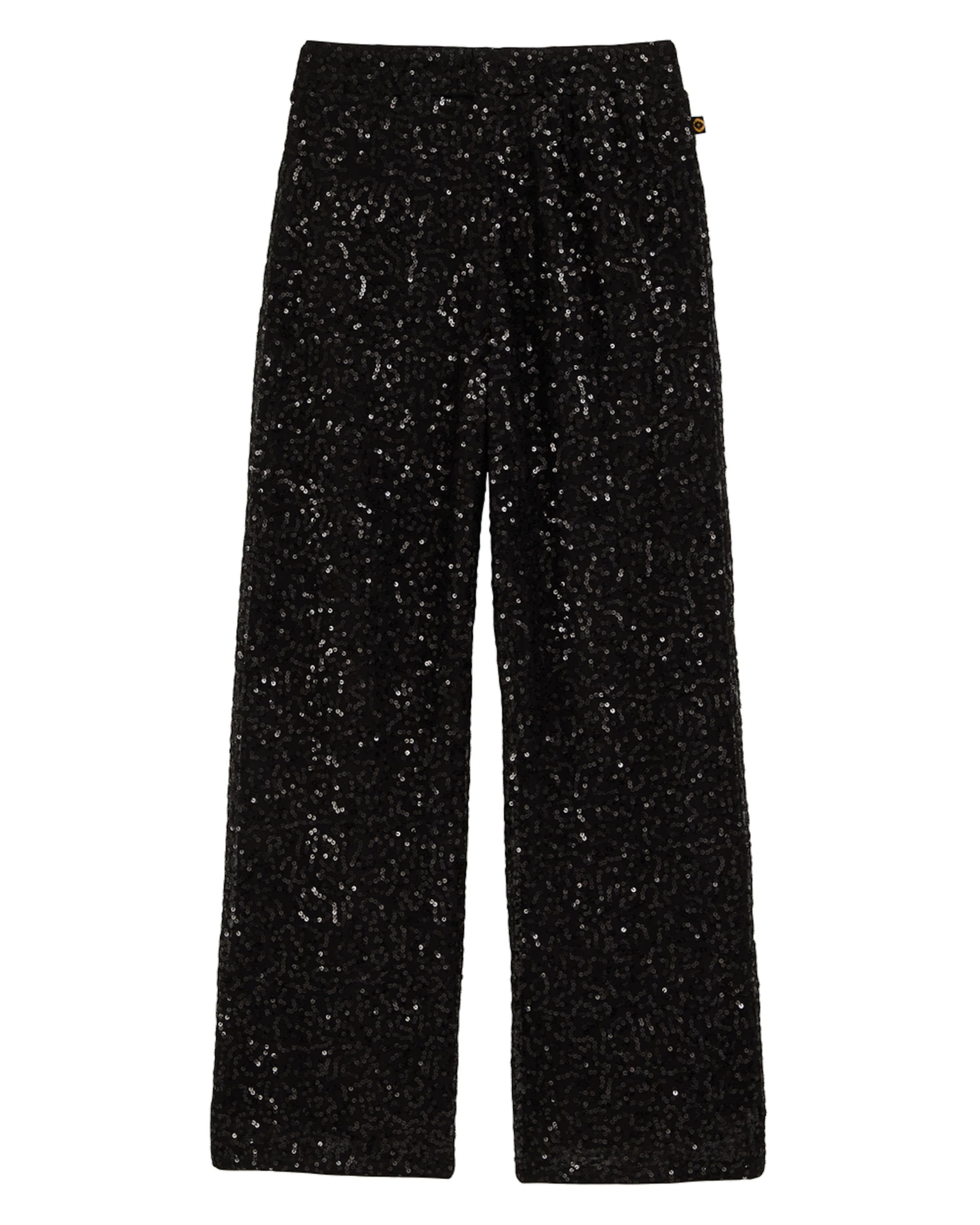 WE Fashionregular Hlače - crna boja