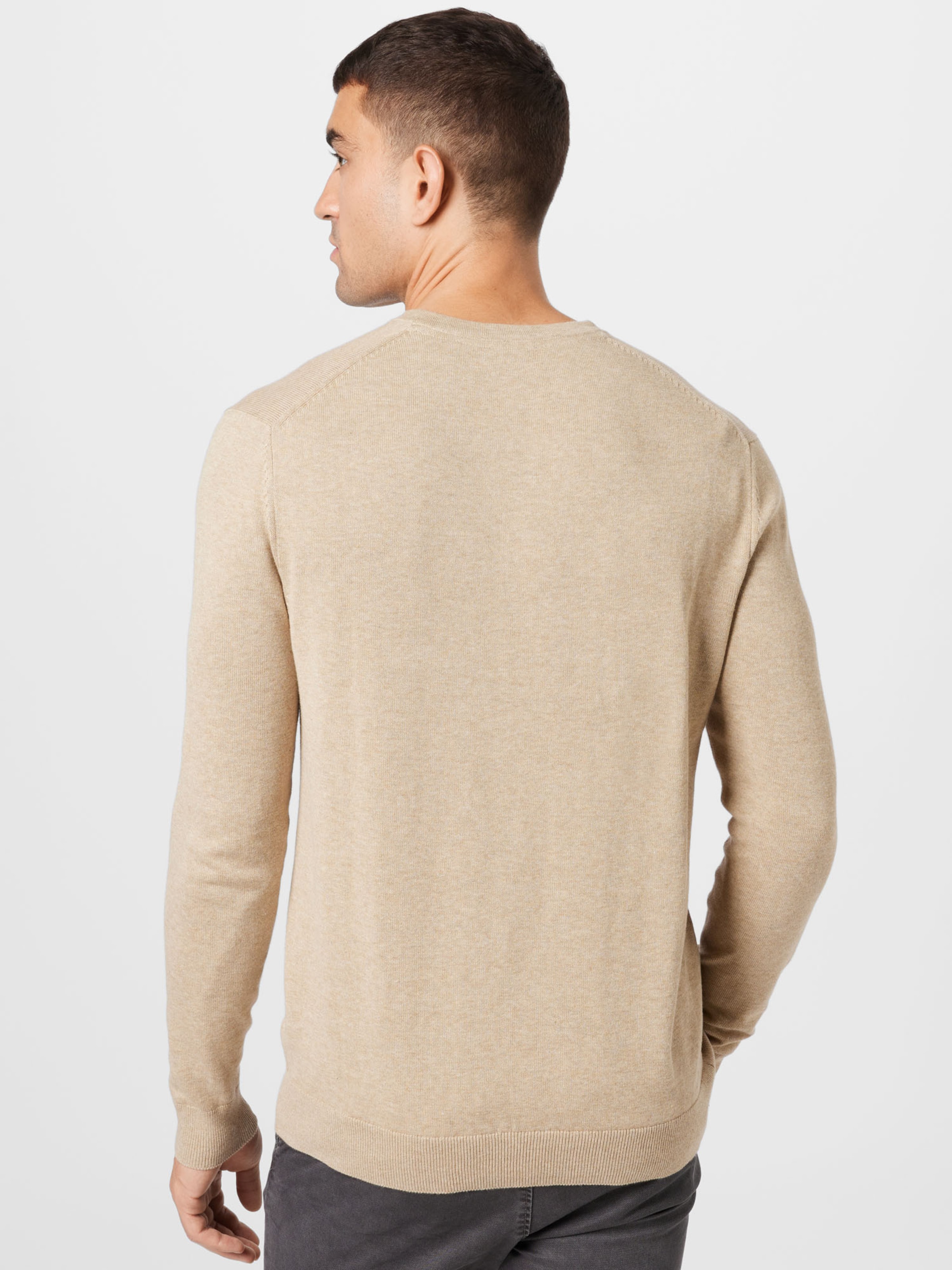Männer Pullover & Strick ESPRIT Pullover in Sand - GD04429 Männer Pullover & Strick ESPRIT Pullover in Sand - GD04429