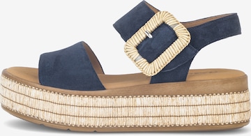 GABOR Riemensandale in Blau: Vorderseite