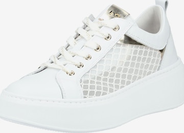 Baskets basses Nero Giardini en blanc : devant