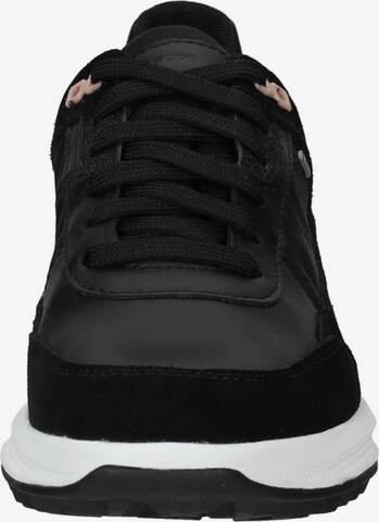 Sneaker bassa di GEOX in nero