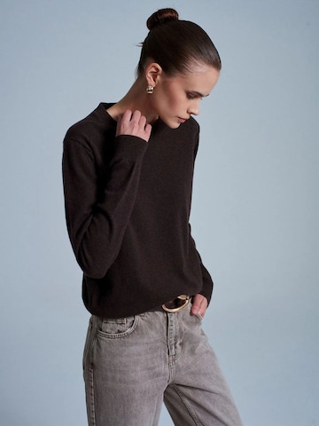 Pull-over 'Pullover' Dilvin en marron