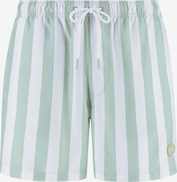 Shorts de bain Shiwi en vert : devant