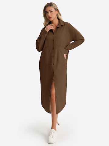Robe-chemise Imily Bela en marron : devant