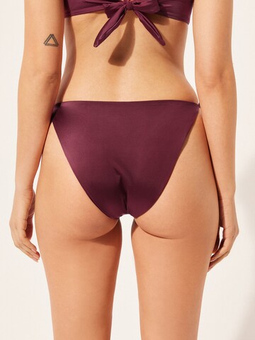 CALZEDONIA Bikini Bottoms in Red