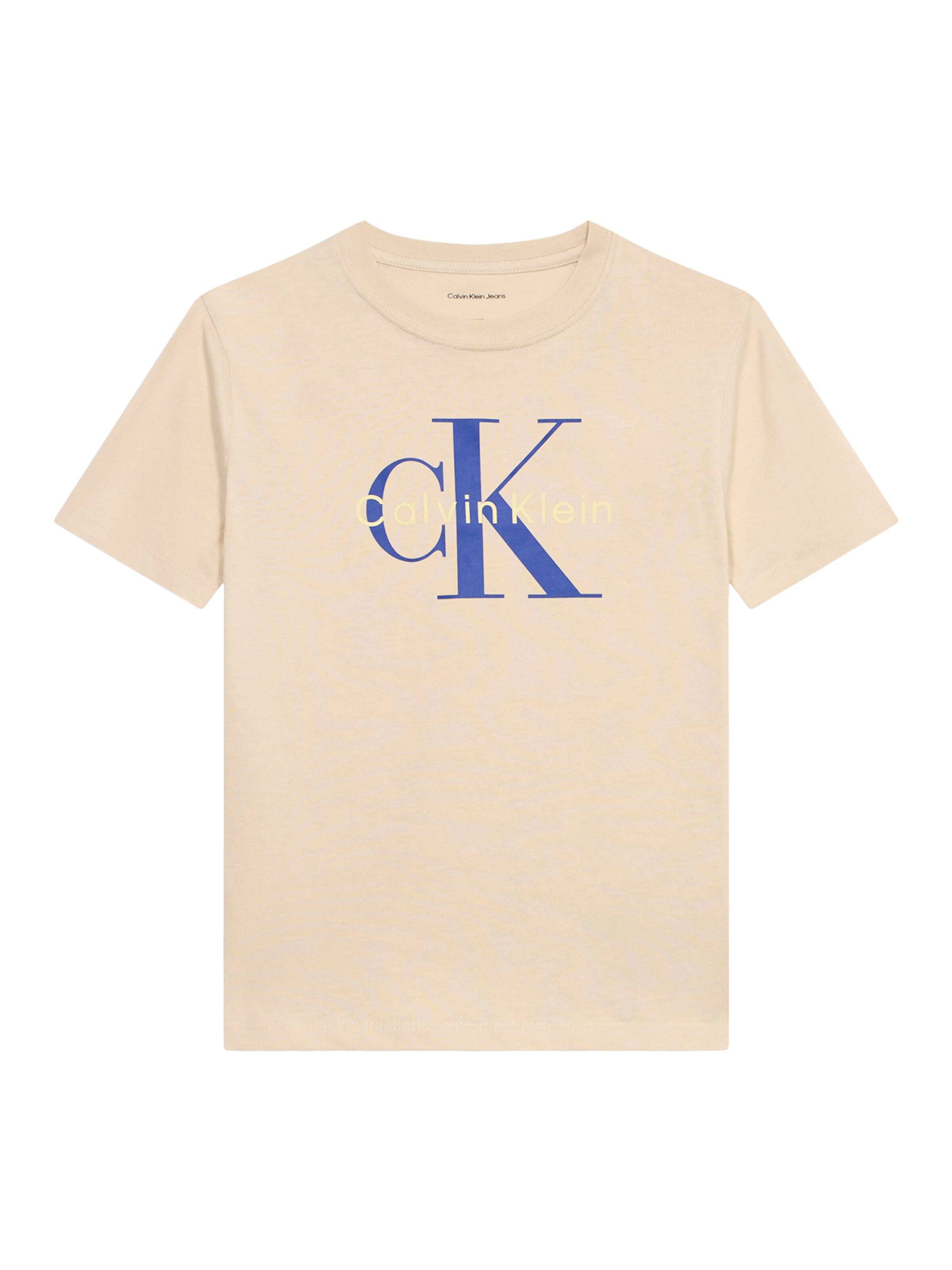 Calvin Klein Jeans - Camiseta en gris: frente