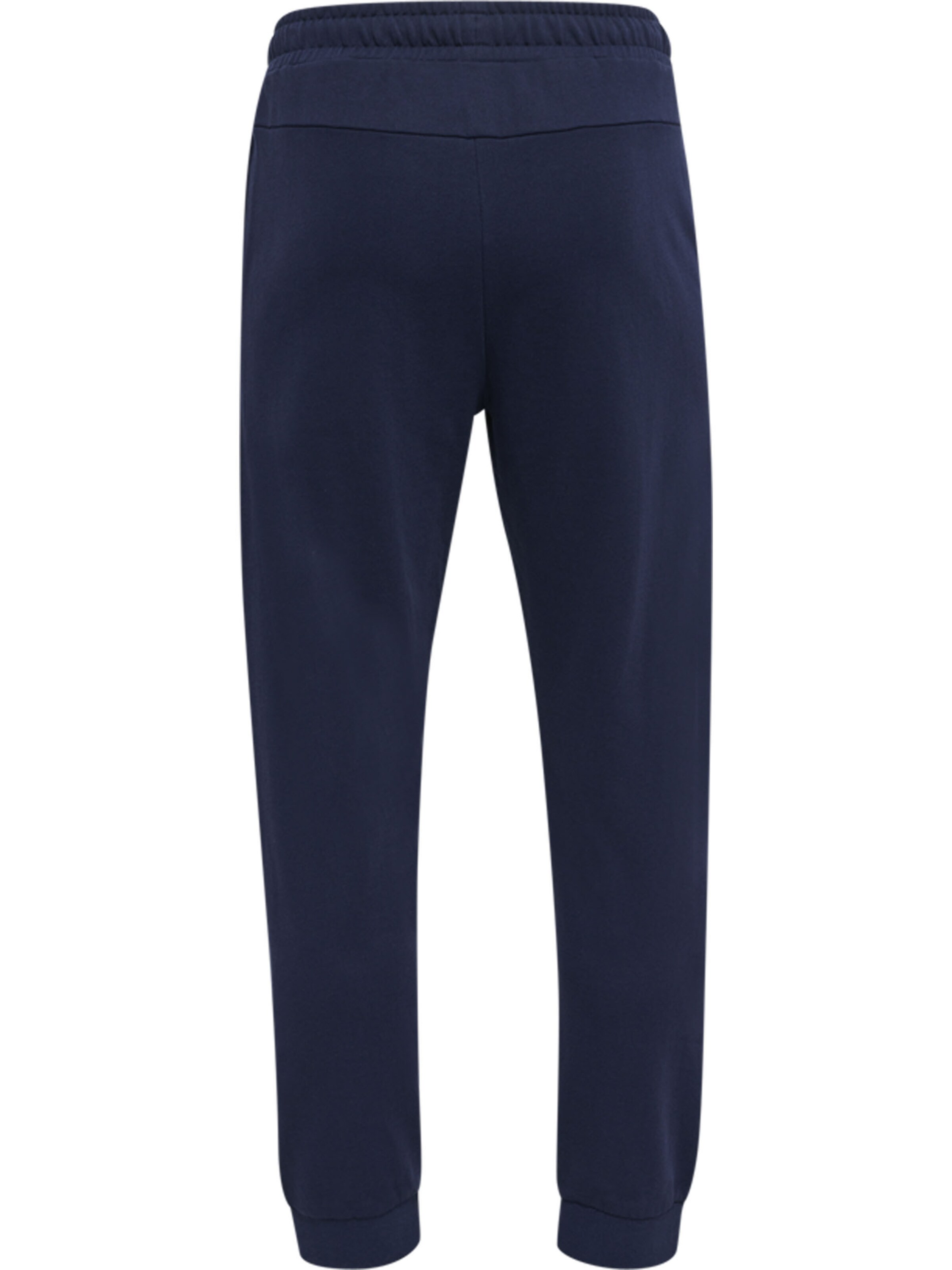 Hummel Regular Sports trousers 'Dayton' in Blue