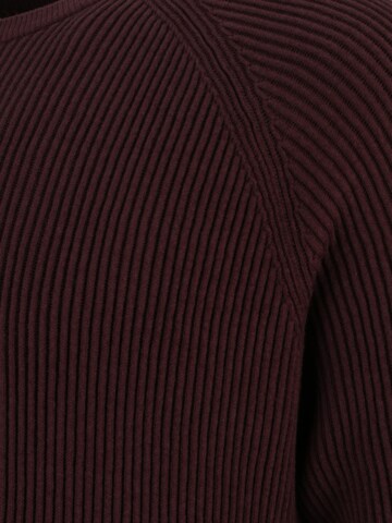 s.Oliver Men Big Sizes Sweater in Brown