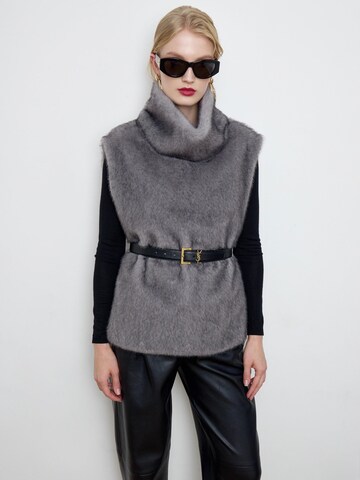 BASSIA Weste 'Faux-mink-fur gray dickey'‌‌‌‌‌‌‌‌‌ in Grau: Vorderseite