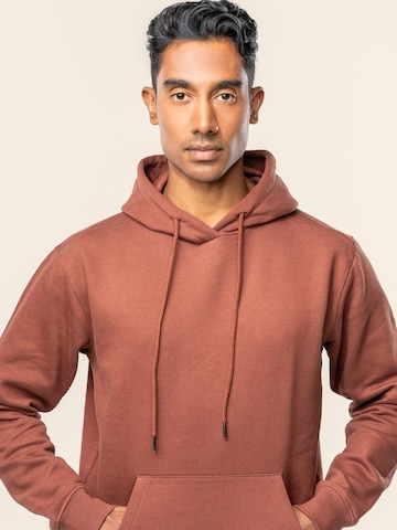Living Crafts Pullover 'SASSO'‌ in Braun