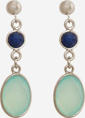 Gemshine Earrings in Silver: front