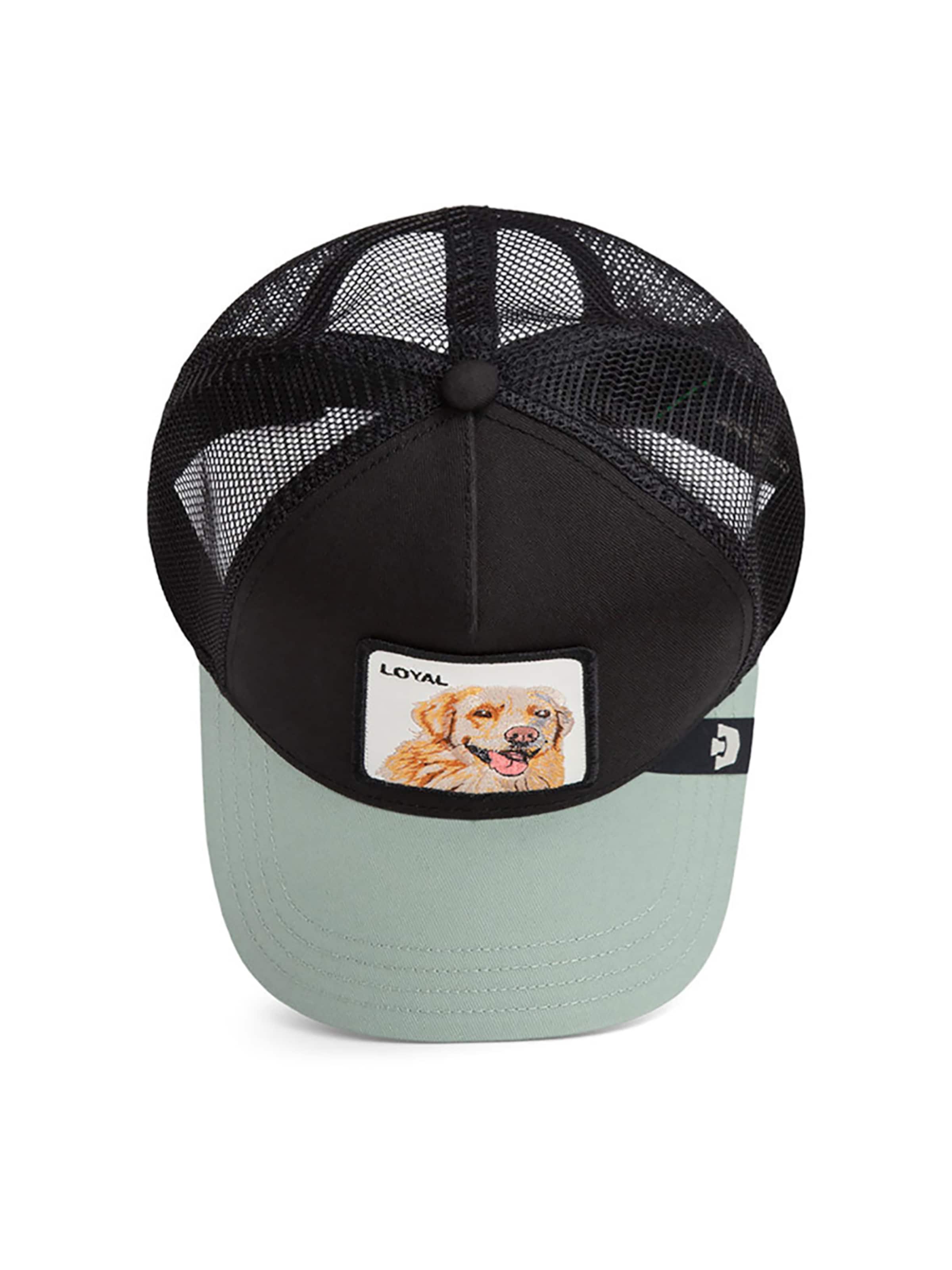 GOORIN Bros. Pet 'The Loyal Dog' in Zwart