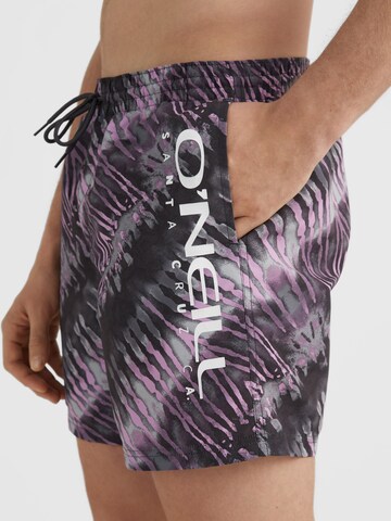 Shorts de bain O'NEILL en gris