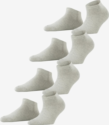 ESPRIT Socks 'Solid 4-Pack' in Grey: front