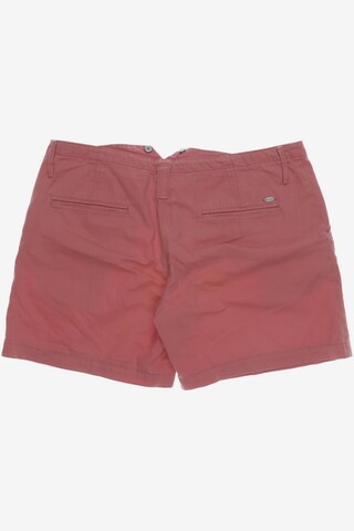 LEVI'S ® Shorts in L in Pink