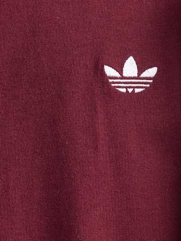 ADIDAS ORIGINALS Tričko 'NCLR' - Hnedá