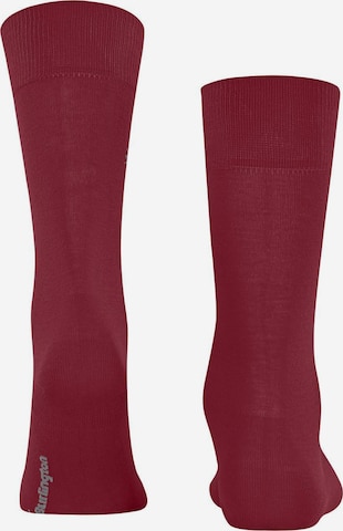 BURLINGTON Socken in Rot