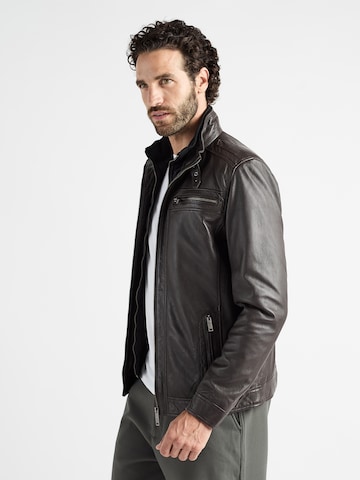 JCC Tussenjas in Bruin