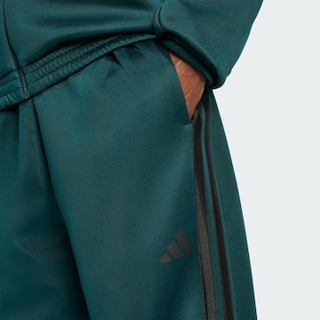 ADIDAS SPORTSWEAR Tapered Παντελόνι φόρμας 'Stadium' σε πράσινο