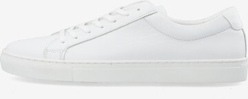 Bianco Sneakers 'AJAY' in White: front