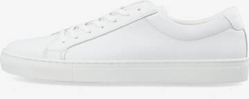 Sneaker bassa 'AJAY' di Bianco in bianco: frontale