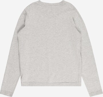 Pepe Jeans Sweatshirt 'Larson' in Grey