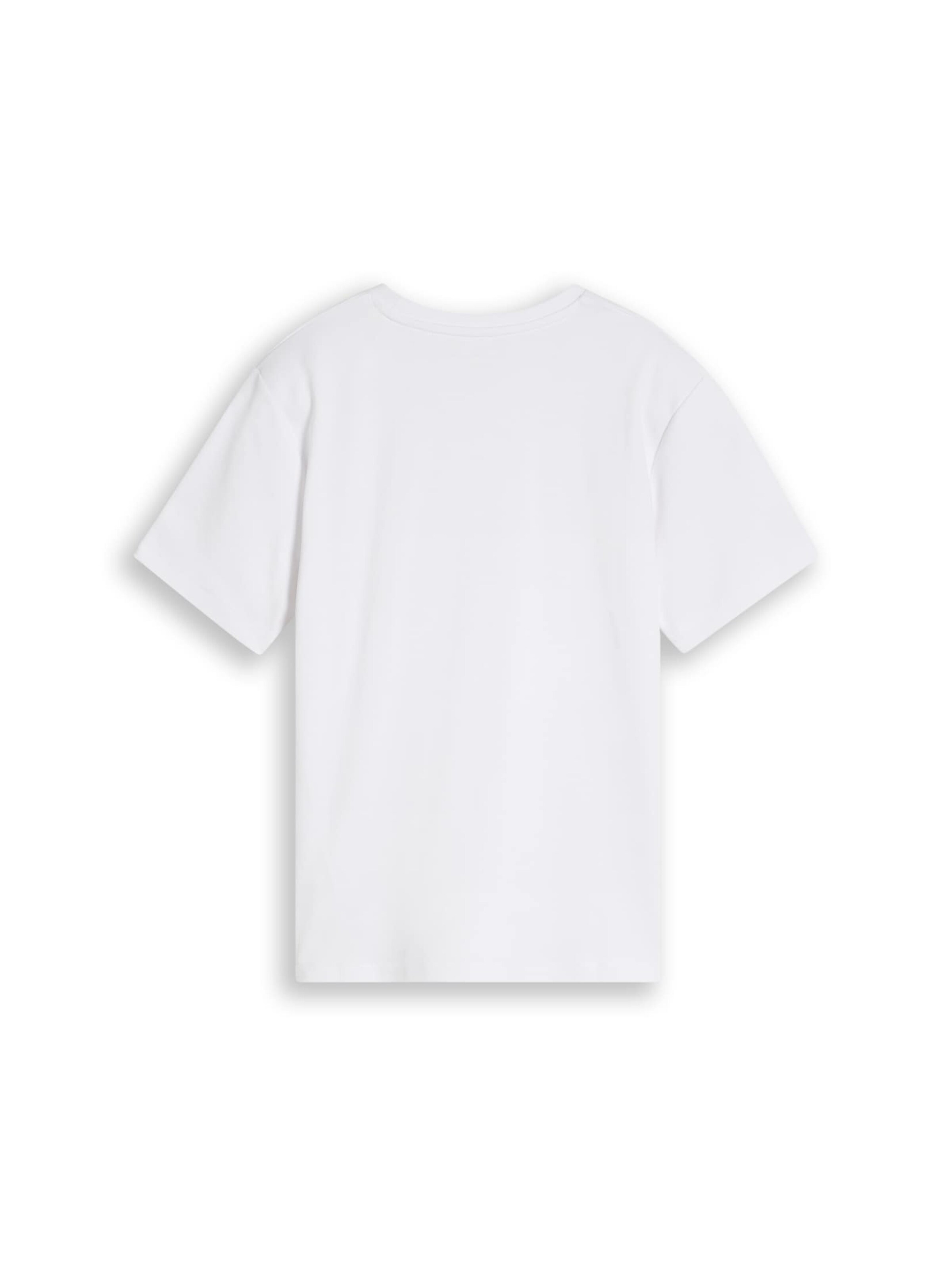 TOM TAILOR Shirt in White