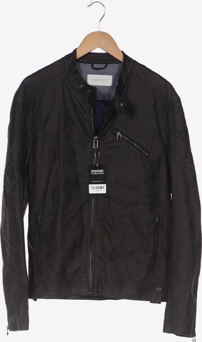 ESPRIT Jacke L in Braun: predná strana