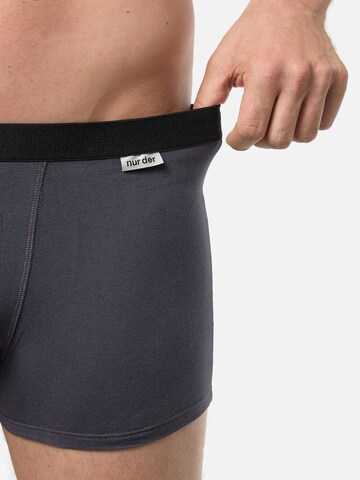 Nur Der Boxer shorts ' Cotton Stretch ' in Blue
