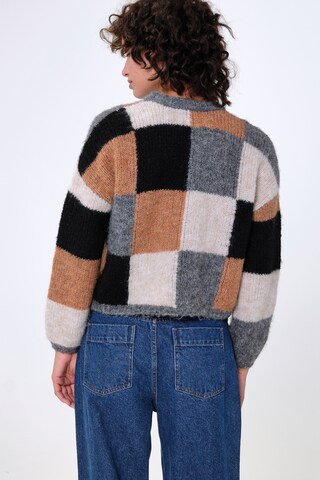 Aligne Sweater 'Genoa ' in Brown