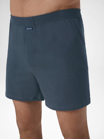 Boxers ' Basic Cotton ' Ammann en bleu : devant