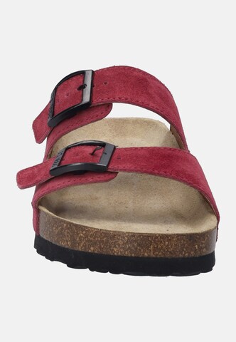 JOSEF SEIBEL Mules 'Hermine 06' in Red