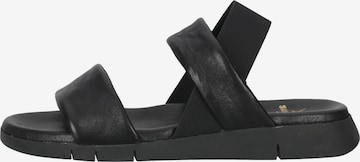 SANSIBAR Sandals in Black