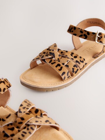 Next Sandalen in Bruin