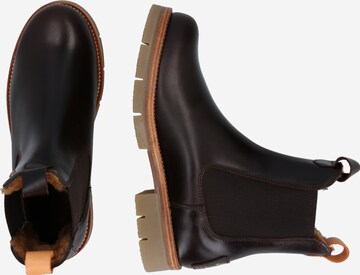 PANAMA JACK Chelsea Boots in Brown
