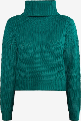 žalia MYMO Megztinis 'Biany': priekis