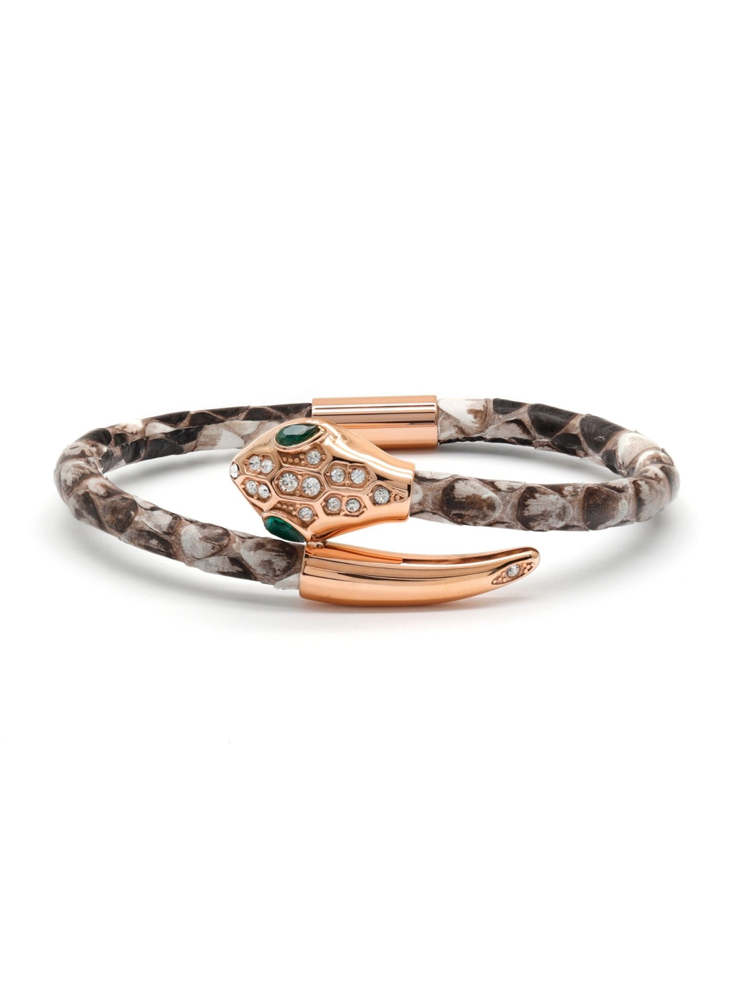 GT Collection Bracelet 'Snake Head' in Brown: front