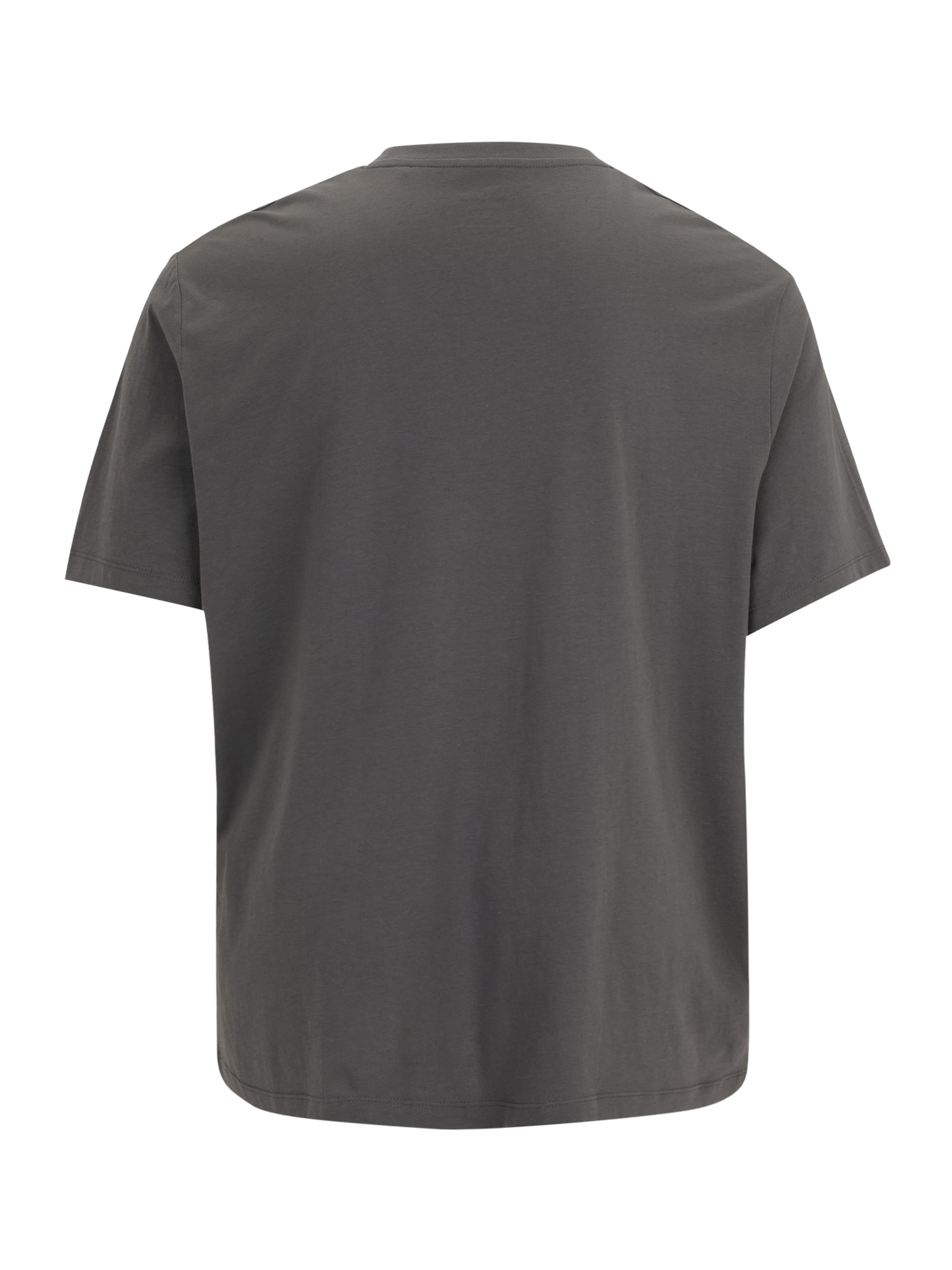 s.Oliver Men Big Sizes Shirt in Grey