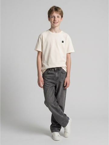 TOM TAILOR Baggy Jeans i grå