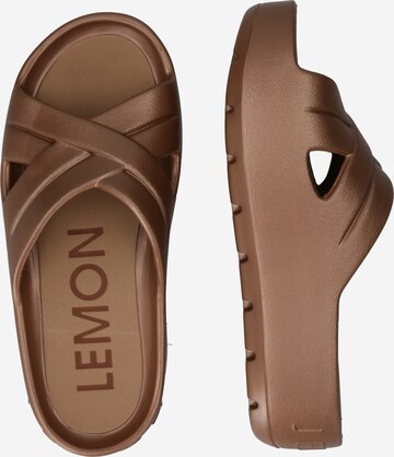 LEMON JELLY Mules in Brown