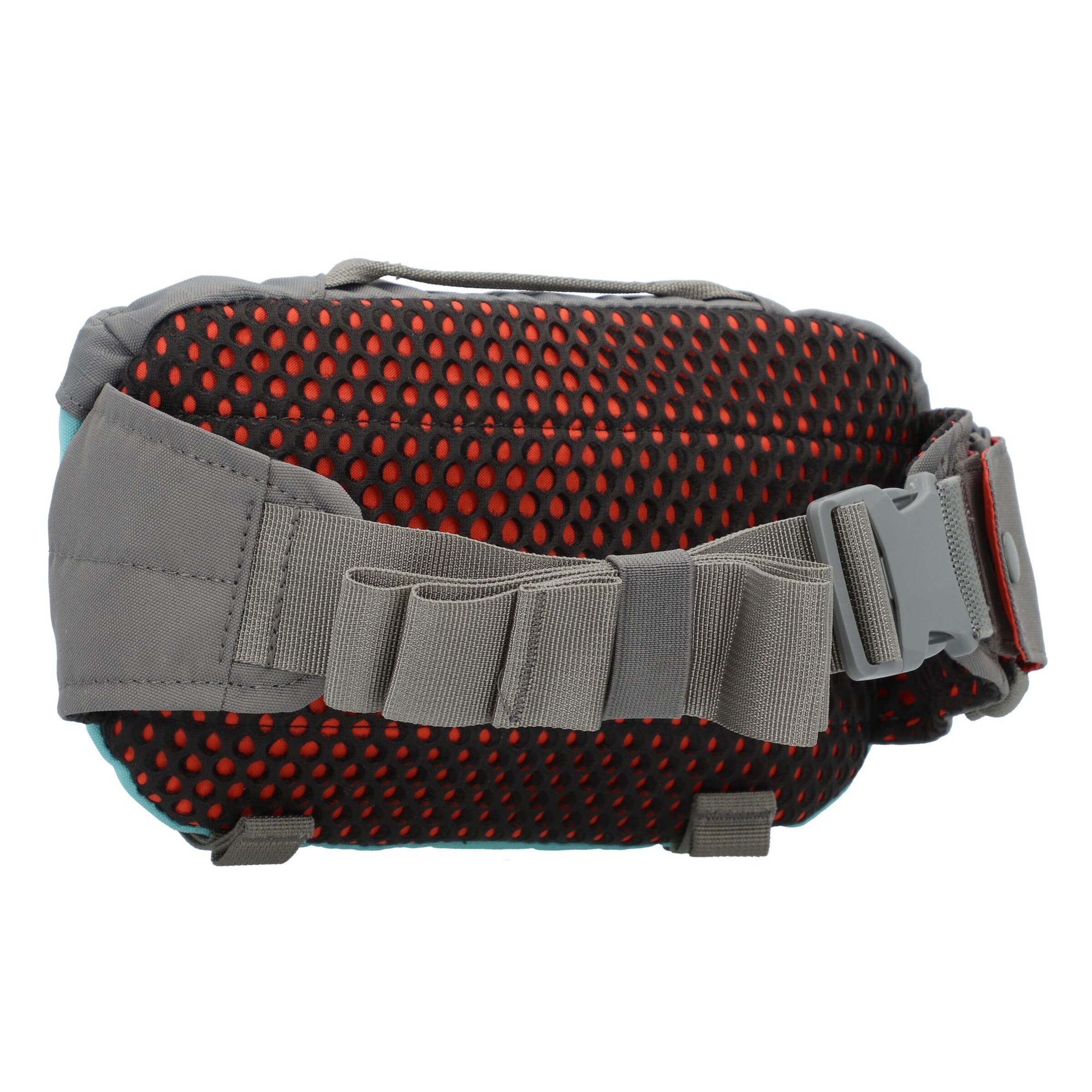 DAKINE Gürteltasche 'Hot Laps' in Grau