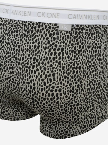 Calvin Klein Underwear Regular Boxershorts in Grau