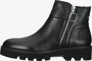 PIKOLINOS Ankle Boots 'Salamanca' in Black