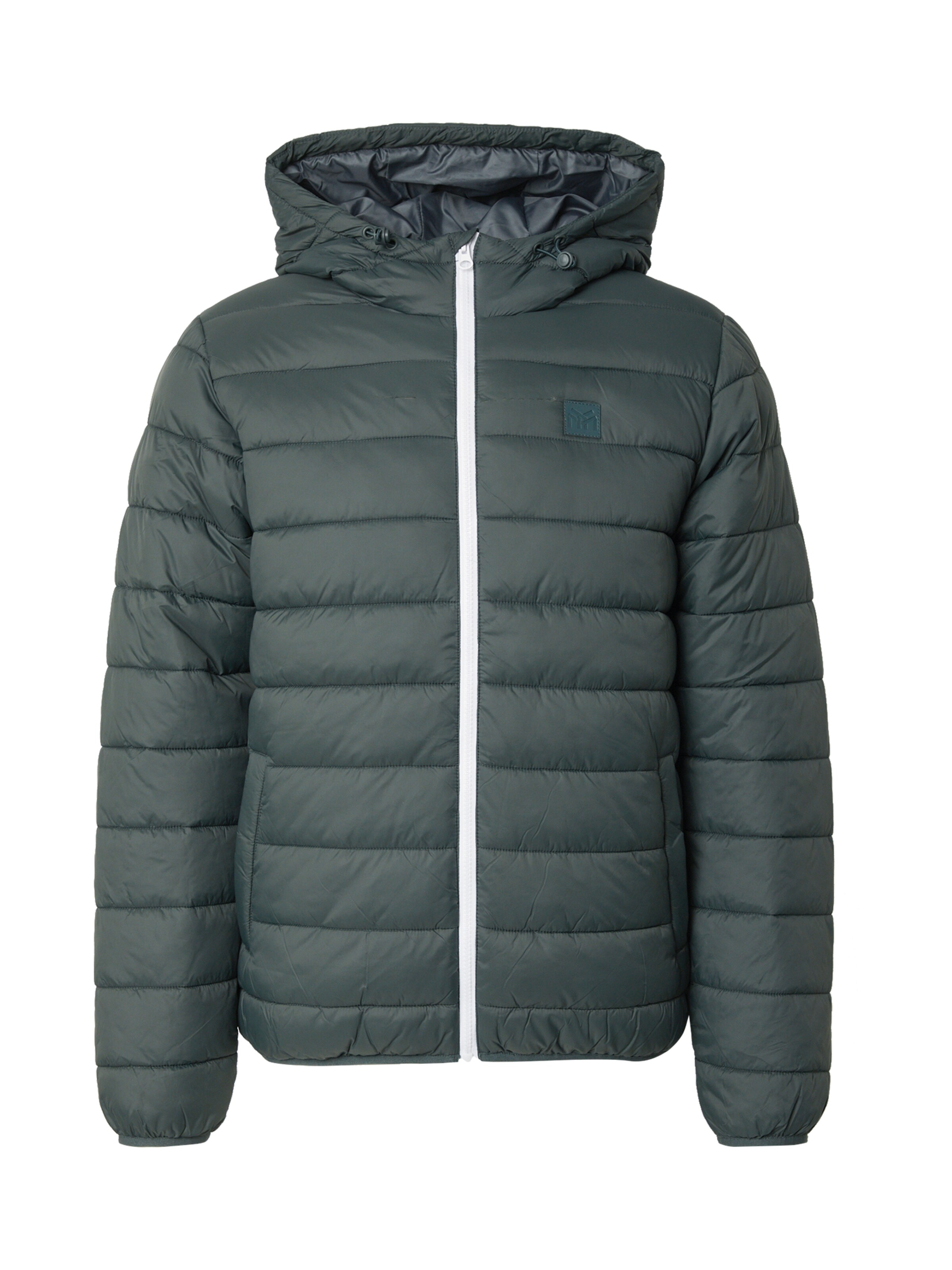 ABOUT YOU Демисезонная куртка 'Tammo' в Зеленый: спереди