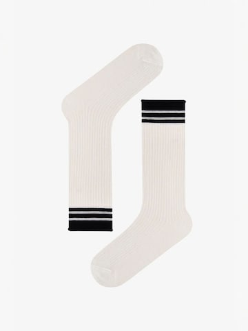 Penti Sokken 'PENTI Urban Gestreifte Baumwoll-Socken im Paar' in Gemengde kleuren