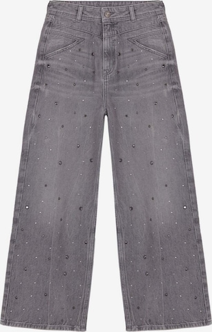 Scalpers Loose fit Jeans in Grey: front